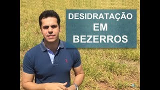 COMO TRATAR DESIDRATAÇÃO EM BEZERROS [upl. by Noirrad]