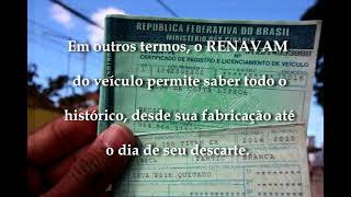 Consultar Documento Pelo RENAVAM ou Placa DETRAN [upl. by Schwejda576]