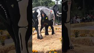 😱zoológico Guadalajara [upl. by Niwrehs]