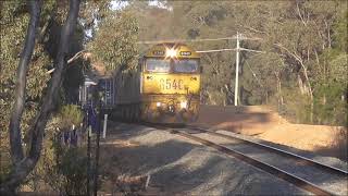 7901V at Maryborough Sat 12 October 2024 [upl. by Sapowith876]