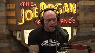 Joe Rogan Experience 2008  Stephen C Meyer [upl. by Ban]