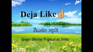 Grupo Uncion Tropical de Salta Completo [upl. by Skell]