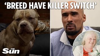 Tearful XL bully owner Ashley Warren BEGS for breed to be ‘wiped out’ after they killed his mother [upl. by Enaillil]