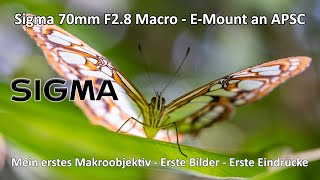 Sigma 70mm F28 Macro  Mein neues Makroobjektiv  Mein erster Eindruck  Meine Meinung [upl. by Esilenna]