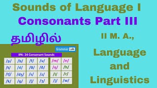 Sounds of Language  Consonants III Explanation in Tamil Affricates Approximants Transcriptions [upl. by Opportina179]