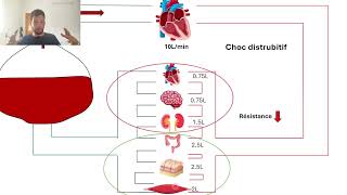 13Difference arterio veineuse en O2 sepsis effet shunt [upl. by Lledner608]