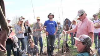 Fruit Tree Pruning with Orin Martin [upl. by Ready]