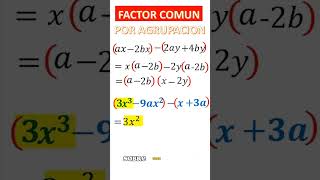 factor común por agrupación de terminos part2 mathace shorts matematica pitágoras [upl. by Abibah]