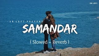 Samandar  Lofi Slowed  Reverb  Jubin Nautiyal Shreya Ghoshal  SR Lofi [upl. by Orfinger]