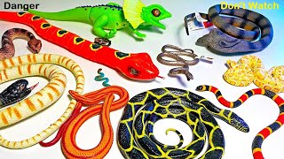 realistic remote control rc snake toyremote control snake toy  Full Series Link in Description [upl. by Adanar889]