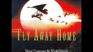 Fly Away Home Soundtrack  10000 Miles With Lyrics [upl. by Gerbold996]