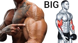 Best Superset Bicep Tricep Workout for Mass [upl. by Errol424]