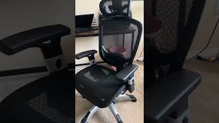 Ergonomic Mesh Office Chair Review [upl. by Llerdnam236]