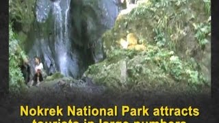 Nokrek National Park attracts tourists in large numbers  ANI News [upl. by Yerhcaz]