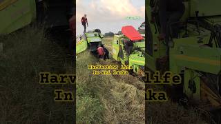 Harvesting Life In Sri Lanka✅srilanka harvester harvesting [upl. by Sylvester966]