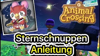 🌠🌠EUFEMIA UND IHRE STERNSCHNUPPEN  Anleitung für Sternschnuppen 🌠🌠  Animal Crossing New Horizons [upl. by Einaoj]