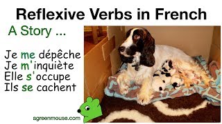 French reflexive verbs  Present Tense [upl. by Wendie]