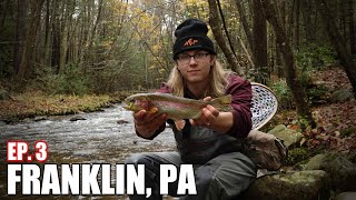 SURPRISE BIG WILD RAINBOW Trout While Fly Fishing Small PA Creek  FRANKLIN PA [upl. by Dadinirt]