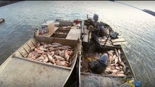 Carp Madness  Commercial Fishing Tournament [upl. by Arikaahs]