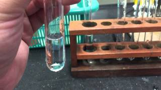 Cation Test Aluminium Ions [upl. by Ailima492]