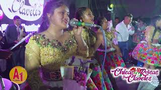 ▶Chicas Rosas y Claveles  𝗣𝗿𝗶𝗺𝗶𝗰𝗶𝗮 𝟮𝟬𝟮4🌷🌺 [upl. by Aetnahs]