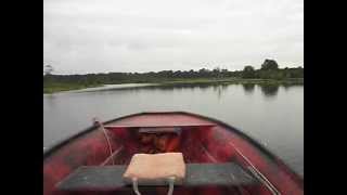 Withlacoochee River Dunnellon FL Backwaters near Goldendale Boat Ramp [upl. by Annahc]