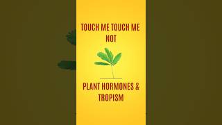 Plant Growth Hormones amp Tropism  Tropic amp Nastic Movement [upl. by Marysa29]