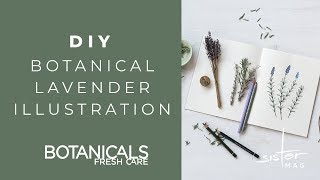 Anzeige  DIY Botanical Lavender Illustration with Botanicals Fresh Care [upl. by Rehtae]