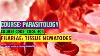 Filariae Tissue Nematodes [upl. by Prouty]