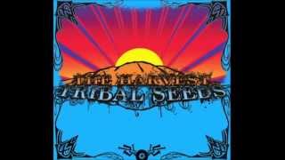 Tribal Seeds  Away [upl. by Morentz]