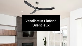 Ventilateur Plafond Silencieux Casafan la sélection Boutica Design [upl. by Alue332]