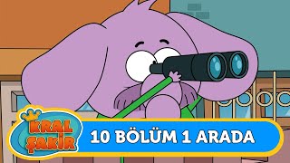 10 Bölüm 1 Arada 👑 68  Kral Şakir [upl. by Nonahs]