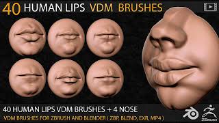 Video Demo 40 Zbrush and Blender VDM Human Lips brushes [upl. by Felten]