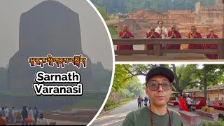 Pilgrimage to Sarnath Varanasi ཝཱ་རཱ་ཎ་སཱི་གནས་སྐོར་བ། tibetanvloger pilgrimage buddhist [upl. by Stclair]