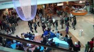 Flamenco Flashmob i Gallerian Stockholm 120616 [upl. by Lanos]