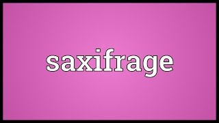 Saxifrage Meaning [upl. by Anastasio]