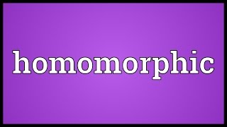 Homomorphic Meaning [upl. by Yeldahc]