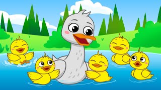 5 little ducks song  BabyBoo Kids Songs [upl. by Michon]