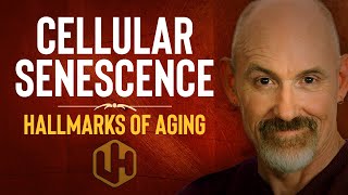 CELLULAR SENESCENCE Hallmarks of Aging 2021 [upl. by Jemmie]