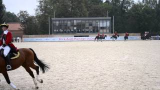 Hengstparade Moritzburg 13092014 Große Dressurquadrille mit 25 Warmbluthengsten [upl. by Nylzzaj]