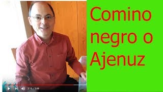 😍Aceite de COMINO NEGRO o AJENUZ Nigella sativa👌 Fantástico para tu piel [upl. by Nadnal]