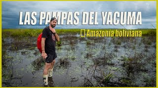 Las Pampas del Yacuma  El río Beni  La Amazonía boliviana [upl. by Gnud]