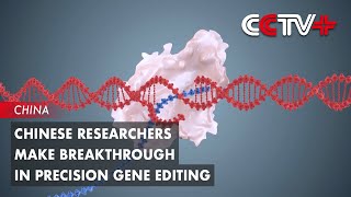 Chinese Researchers Make Breakthrough in Precision Gene Editing [upl. by Gaultiero]