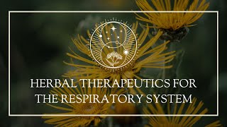 Herbal Therapeutics for the Respiratory System [upl. by Ykcin]