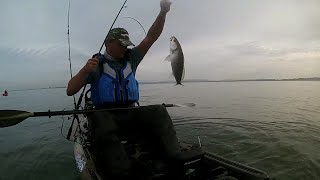 ZAGAIA vs TEJO  16 peixes em 5 minutos [upl. by Borrell]