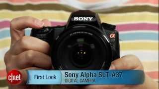 First Look Sony Alpha SLTA37 fast camera for frugal shooters [upl. by Boice189]