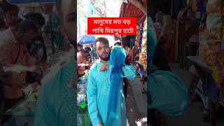 মানুষের মতো বড় পাখি মিরপুর হাটে  পাখি  Pakhi  মিরপুর ১ পাখির হাট  টিয়া পাখি  Tiya Pakhi short [upl. by Vey]