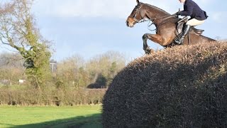 Alices Thrills amp spills with The Ledbury Hunt 20142015 Season [upl. by Eldnar]