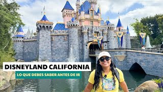 Guía completa DISNEYLAND CALIFORNIA 2024 Tips precios y mejores atracciones [upl. by Ytsirc841]