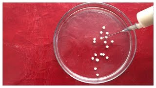 Enzyme Immobilization Techniques  Yeast Cell Immobilization  Enzymatic Immobilization Process [upl. by Franza]